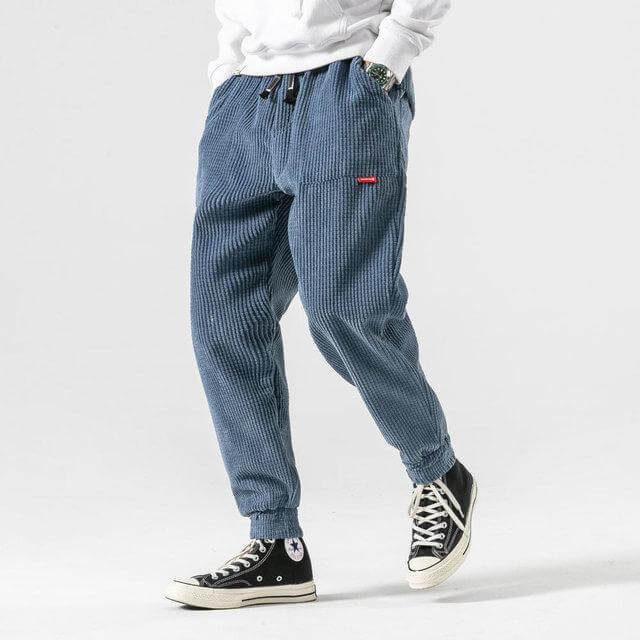 Tommy Stylish Cord Pants